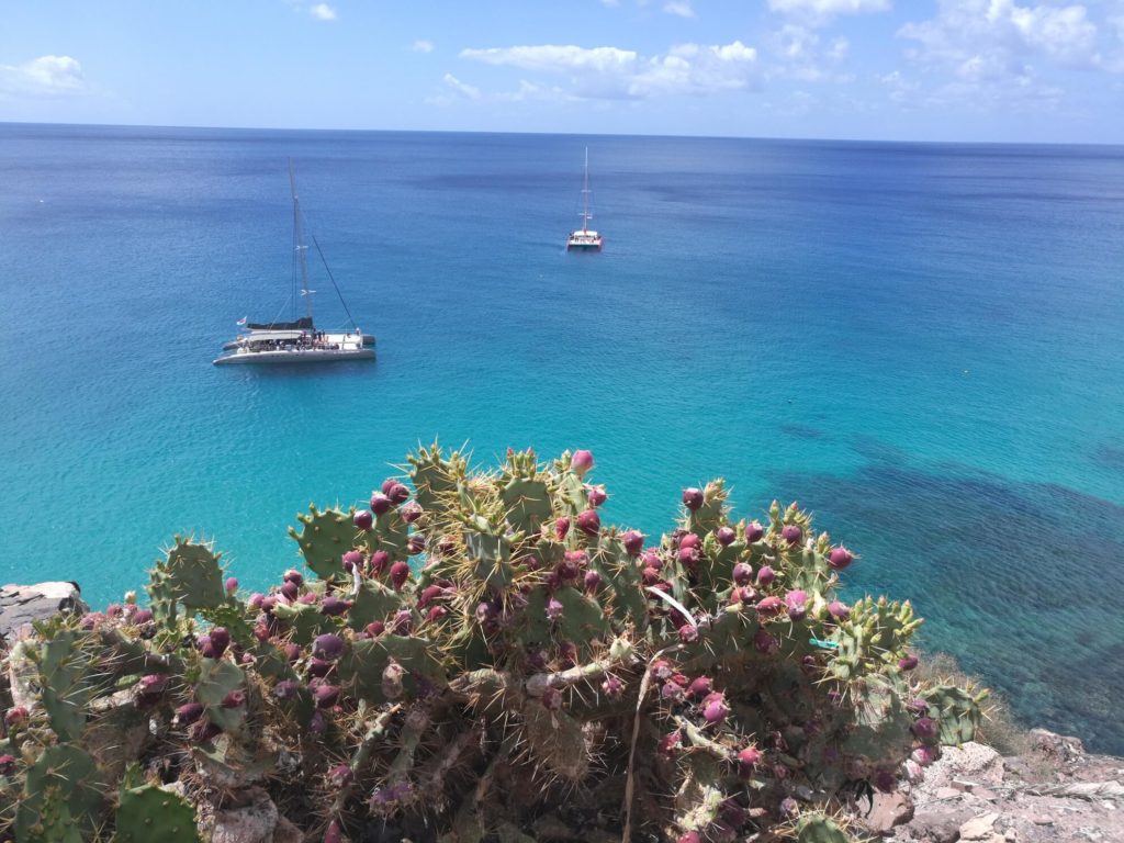 View for sea, boats and opuntia
