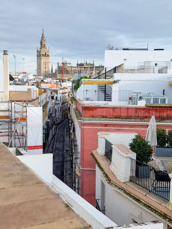 Widok z tarasu w Arenal w Sewilli
