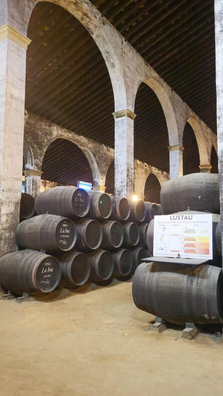 Zwiedzanie Bodegi Lustau